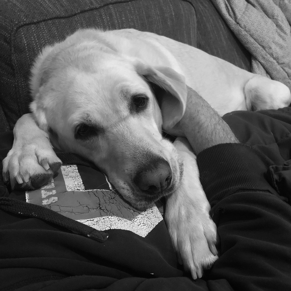 Meet your Posher, Jen